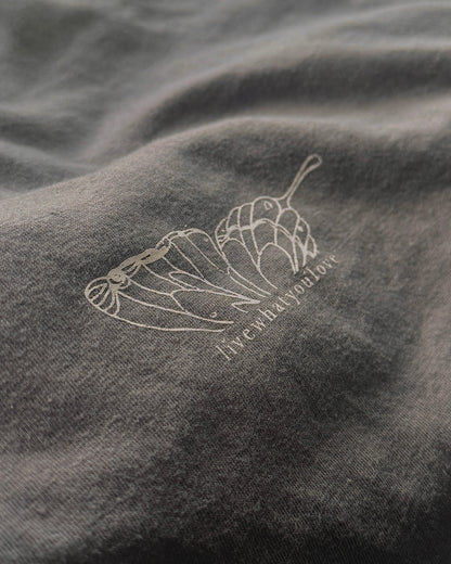 Butterfly Effect Gray